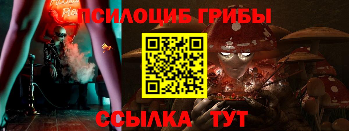 Псилоцибиновые грибы мухоморы Юрга
